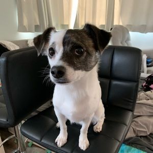 Meet your Posher, Yanna